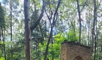 Zdjęcie opuszczonego miejsca: Ruiny elektrowni , Nowe Czaple