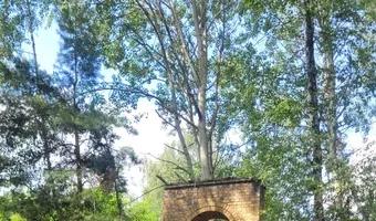 Zdjęcie opuszczonego miejsca: Ruiny elektrowni , Nowe Czaple