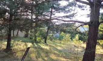 Zdjęcie opuszczonego miejsca: Ośrodek wypoczynkowy "Leśne Uzdrowisko"