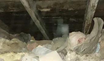 Zdjęcie opuszczonego miejsca: Kamienice