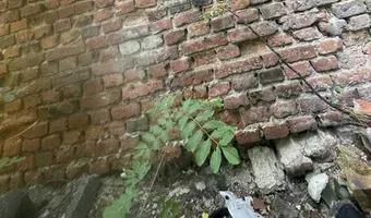 Zdjęcie opuszczonego miejsca: Fabryka transformatorów ELTA