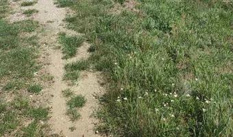 Zdjęcie opuszczonego miejsca: Opuszczony budynek przy jeziorze Turawskim