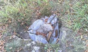 Zdjęcie opuszczonego miejsca: Ouszczona kaplica grzebalna.