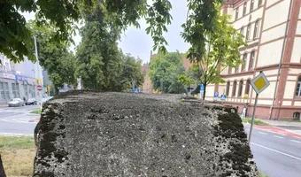 Zdjęcie opuszczonego miejsca: Schrony Narutowicza.