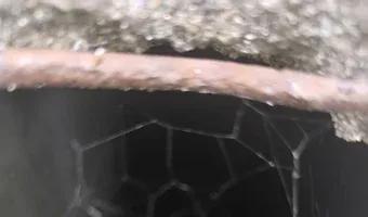 Zdjęcie opuszczonego miejsca: Schrony Narutowicza.