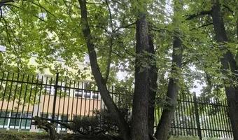 Zdjęcie opuszczonego miejsca: Schrony Narutowicza.