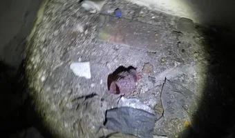 Zdjęcie opuszczonego miejsca: Schrony w Dąbiu.