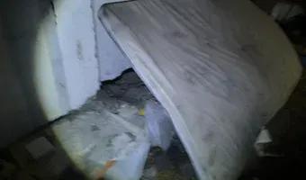 Zdjęcie opuszczonego miejsca: Schrony w Dąbiu.