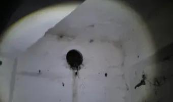 Zdjęcie opuszczonego miejsca: Schrony w Dąbiu.