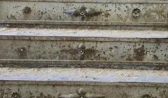 Zdjęcie opuszczonego miejsca: Pałac w Kębłowicach