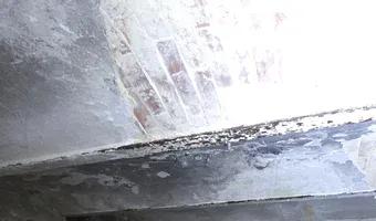 Zdjęcie opuszczonego miejsca: Pałac w Kębłowicach