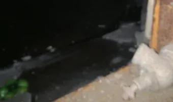 Zdjęcie opuszczonego miejsca: Opuszczony elewator i zakład nasienny