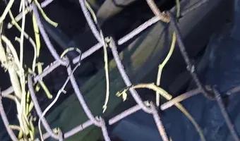 Zdjęcie opuszczonego miejsca: Opuszczona remiza OSP i budynki gospodarcze