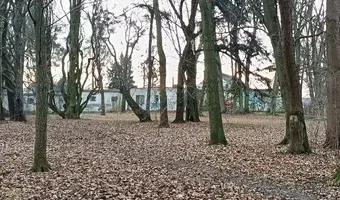 Zdjęcie opuszczonego miejsca: Opuszczona remiza OSP i budynki gospodarcze