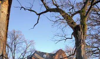 Zdjęcie opuszczonego miejsca: Opuszczony Folwark