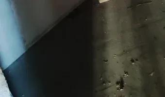 Zdjęcie opuszczonego miejsca: Opuszczony Folwark