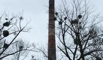 Zdjęcie opuszczonego miejsca: Komin dawnej odlewni żeliwa