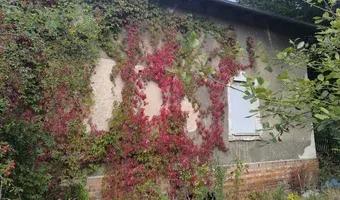 Zdjęcie opuszczonego miejsca: Opuszczony dom na ulicy wszystkich świętych.