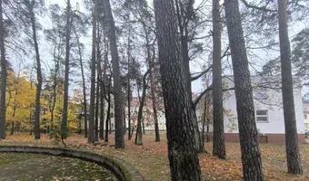 Zdjęcie opuszczonego miejsca: Opuszczone magazyny szpitala.