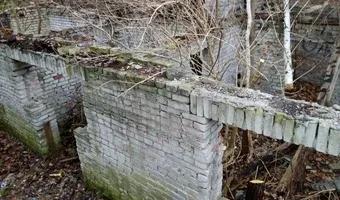 Zdjęcie opuszczonego miejsca: Opuszczone ruiny domu i stodoła.