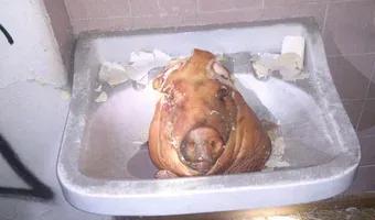 Zdjęcie opuszczonego miejsca: Oddział szpitala, Gdańsk