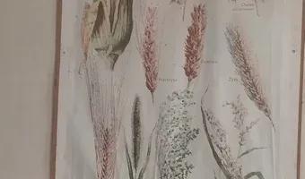 Zdjęcie opuszczonego miejsca: Młyn Hilberta