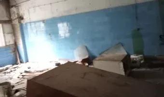 Zdjęcie opuszczonego miejsca: Hala fabryki farb