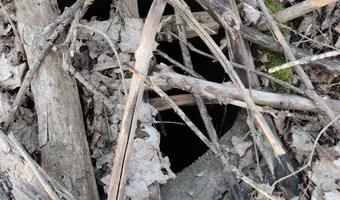 Zdjęcie opuszczonego miejsca: opuszczone pozostalosci po gospodarstwie