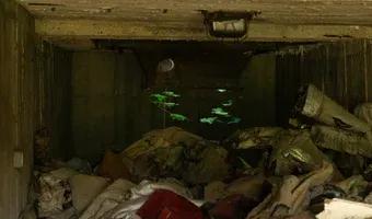 Zdjęcie opuszczonego miejsca: Opuszczona fabryka w Lipie