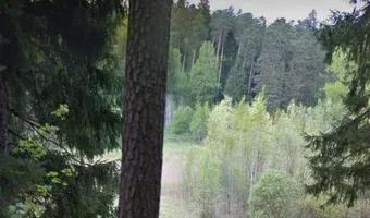 Zdjęcie opuszczonego miejsca: Ruiny stadionu leśnego