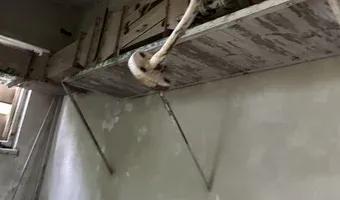 Zdjęcie opuszczonego miejsca: Zakłady Przemysłu Jedwabniczego SILWANA