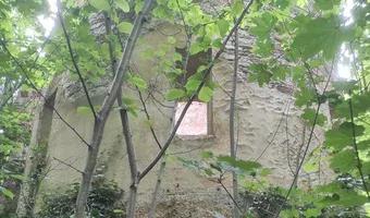 Zdjęcie opuszczonego miejsca: Pałac Ubocze