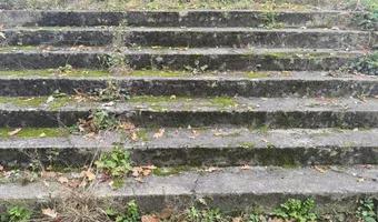 Zdjęcie opuszczonego miejsca: Opuszczony dworzec PKP