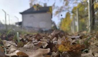 Zdjęcie opuszczonego miejsca: Opuszczony dworzec PKP