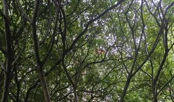 Zdjęcie opuszczonego miejsca: Opuszczony budynek ciepłowniczy