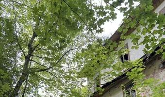 Zdjęcie opuszczonego miejsca: Opuszczone sanatorium