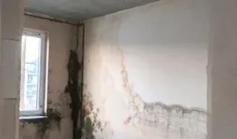 Zdjęcie opuszczonego miejsca: Opuszczone niedokonczone osiedla