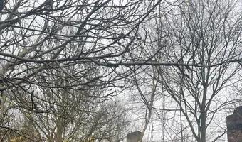 Zdjęcie opuszczonego miejsca: Ruiny Domu i gospodarstwa