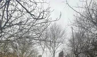 Zdjęcie opuszczonego miejsca: Ruiny Domu i gospodarstwa