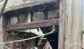 Zdjęcie opuszczonego miejsca: Ruiny Domu i gospodarstwa