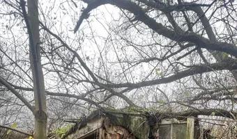 Zdjęcie opuszczonego miejsca: Ruiny Domu i gospodarstwa