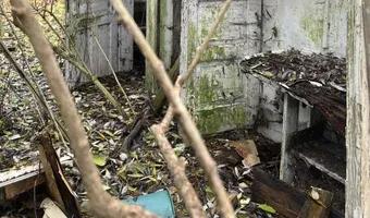 Zdjęcie opuszczonego miejsca: Ruiny Domu i gospodarstwa