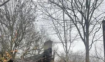 Zdjęcie opuszczonego miejsca: Ruiny Domu i gospodarstwa