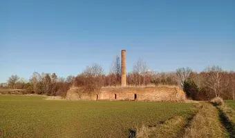 Zdjęcie opuszczonego miejsca: Ruiny Cegielni, Niemienice