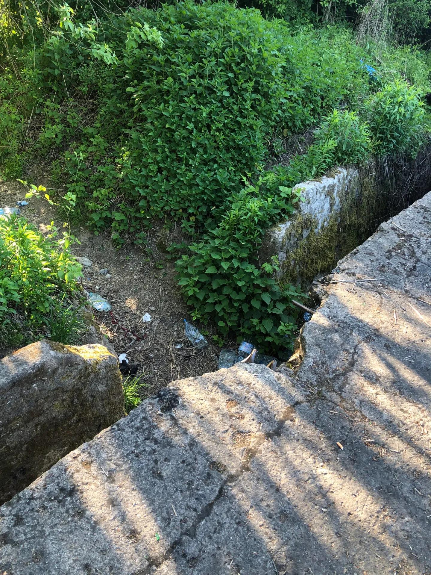 Zdjęcie opuszczonego miejsca: opuszczone bunkry